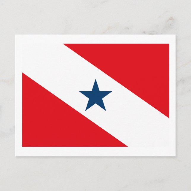 Para Flag Postcard (Front)