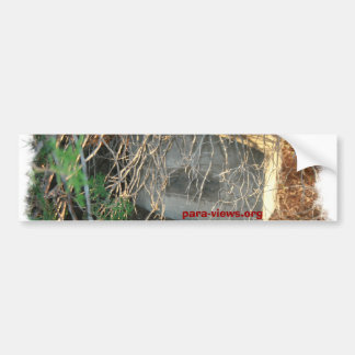 Para-Views bumper Sticker