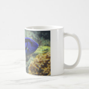 Paracanthurus hepatus coffee mug