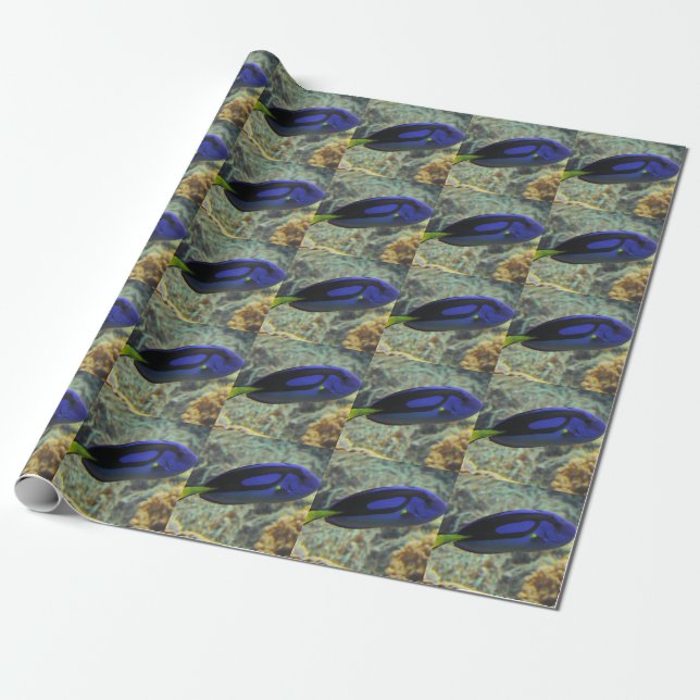 Paracanthurus hepatus wrapping paper (Unrolled)