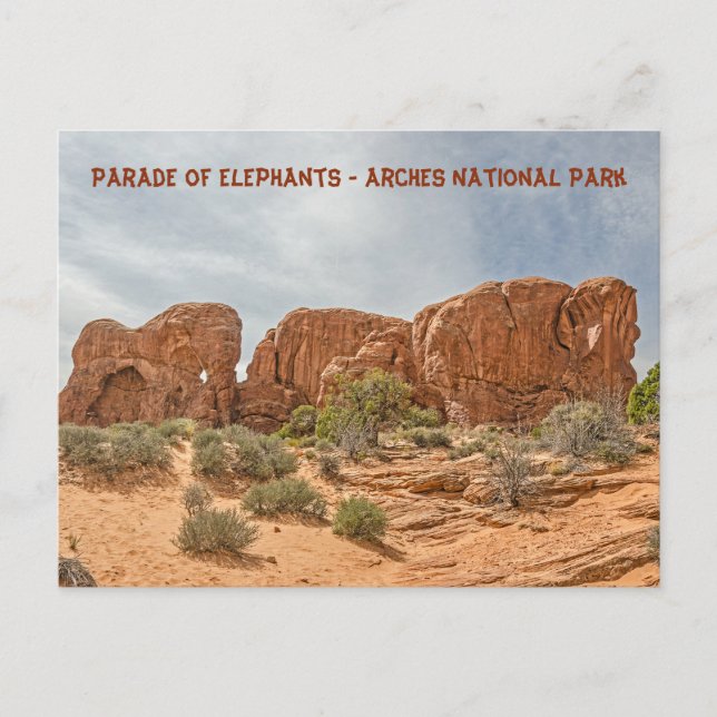 Parade of Elephants - Arches National Park Postcard (Front)
