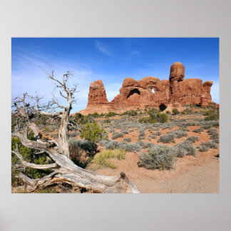 Parade of Elephants at Arches National Park Poster