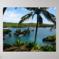 Paradise Beach - Maui, Hawaii