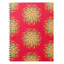 Paradise Bird Orchid 