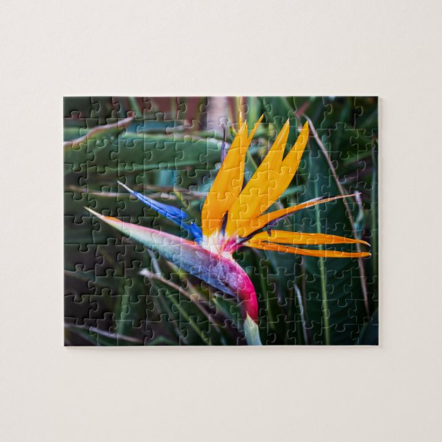 Paradise Bird Puzzle - PHOTO (Horizontal)