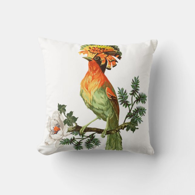Paradise Birds: Exotic Floral Background Cushion (Front)