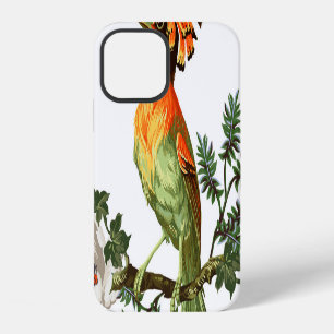 Paradise Birds: Exotic Floral Background iPhone 12 Case