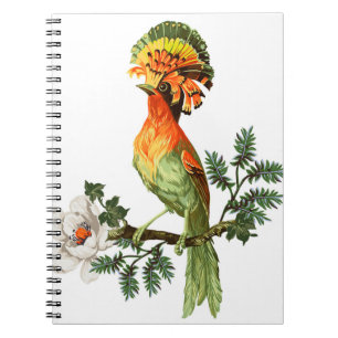 Paradise Birds: Exotic Floral Background Notebook