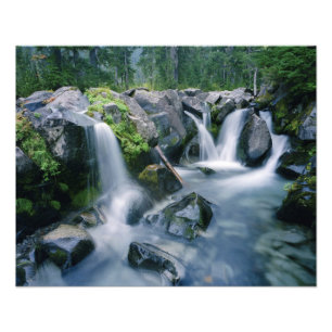 Paradise Creek flows down slopes of Mount Photo Print