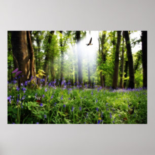 paradise found poster