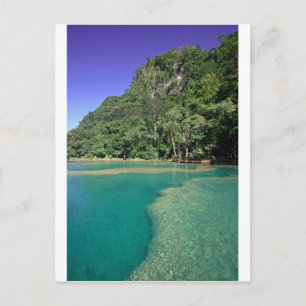 Paradise green lagoon Semuc Champey Guatemala Postcard