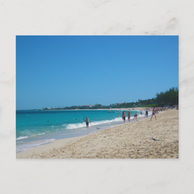 Paradise Island Postcard (Front)