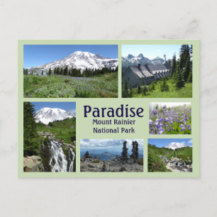 Paradise (Mount Rainier) Collage Postcard