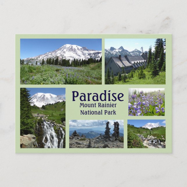 Paradise (Mount Rainier) Collage Postcard (Front)