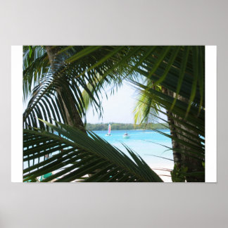 Paradise Window Poster
