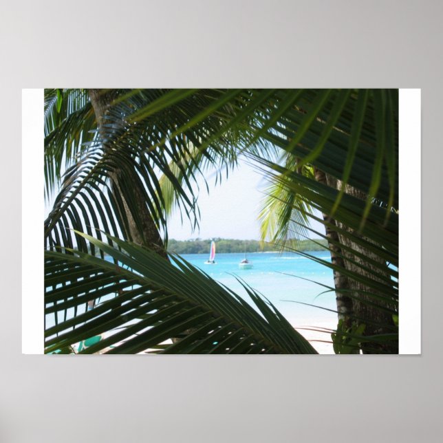 Paradise Window Poster (Front)