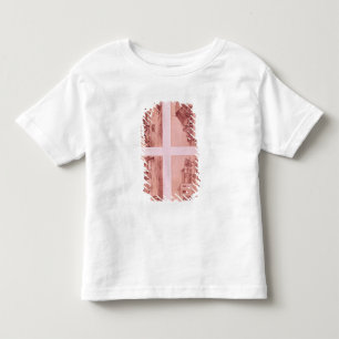 Paraguay and its Missions Toddler T-Shirt