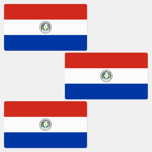 Paraguay Flag (Group)