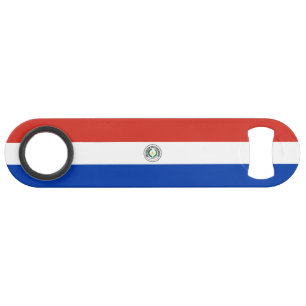 Paraguay Flag