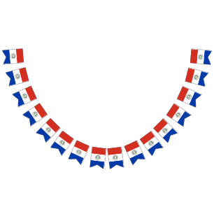 Paraguay Flag