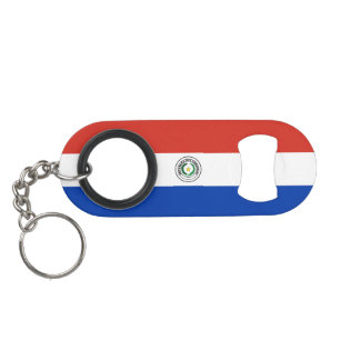 Paraguay Flag