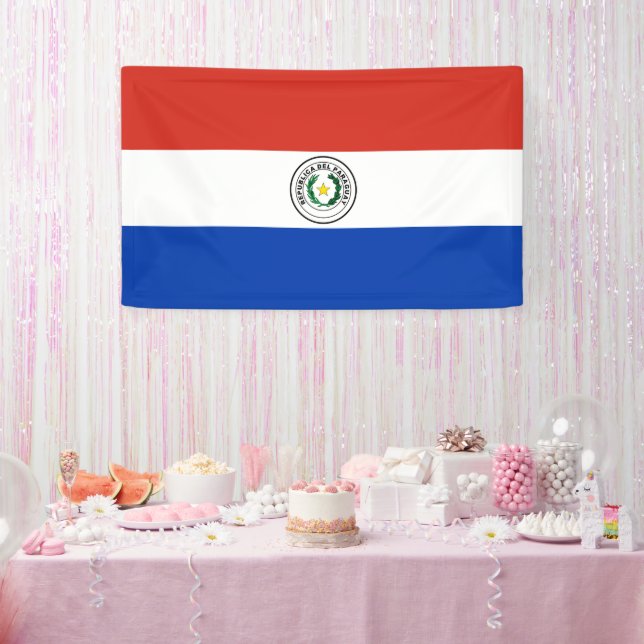 Paraguay flag banner (Party)