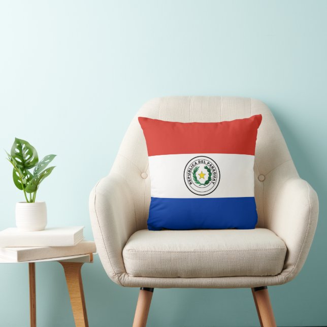 Paraguay flag cushion (Chair)