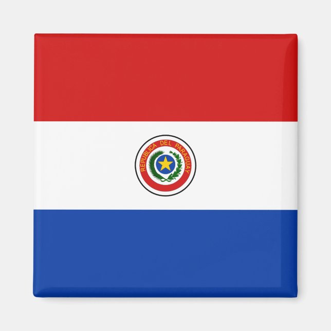 Paraguay Flag Magnet (Front)