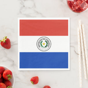 Paraguay flag napkin