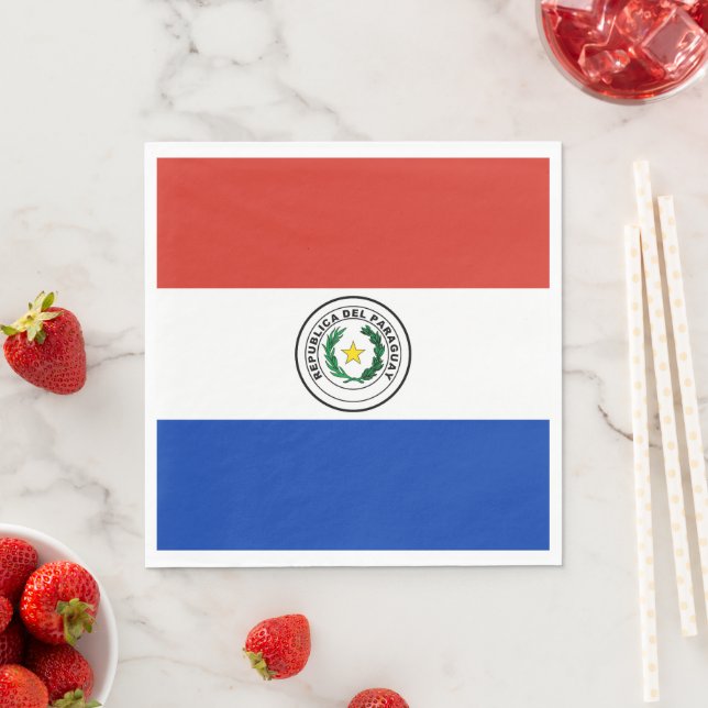 Paraguay flag napkin (Insitu)