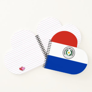Paraguay flag notebook