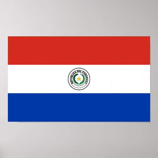 Paraguay Flag Poster (Front)