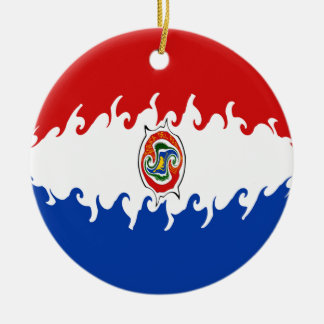 Paraguay Gnarly Flag Ceramic Tree Decoration