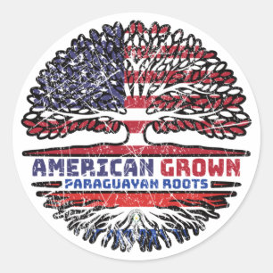 Paraguay Paraguayan American USA Tree Roots Flag Classic Round Sticker