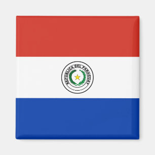Paraguay (Paraguayan) Flag Magnet