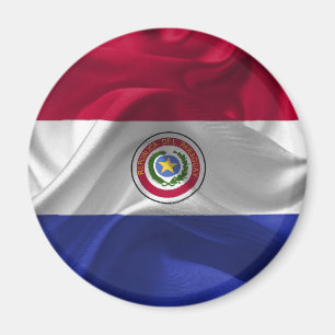 Paraguayan flag magnet
