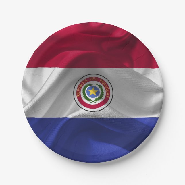 Paraguayan flag paper plate (Front)
