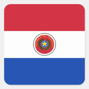 Paraguayan Flag Square Sticker