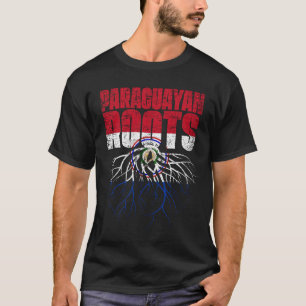 Paraguayan Roots Paraguay Heritage Flag T-Shirt