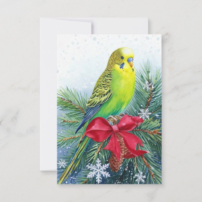 Parakeet and Christmas Bow Christmas Card (Front)