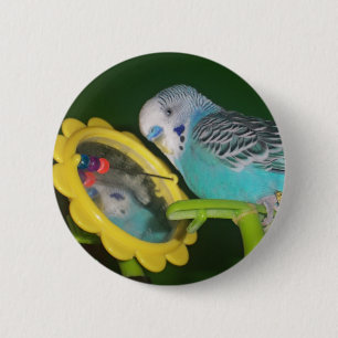 Parakeet Bird in the Mirror Favourite Pet Button! 6 Cm Round Badge