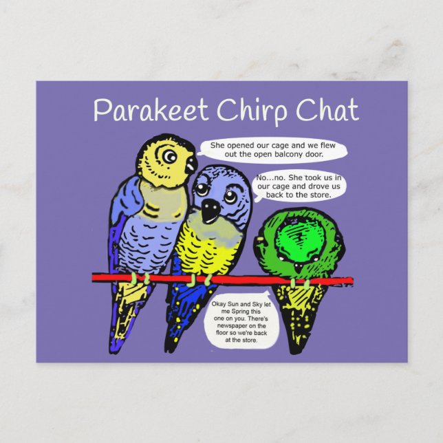 Parakeet Chirp and Talk is Cheep Postcard (Front)