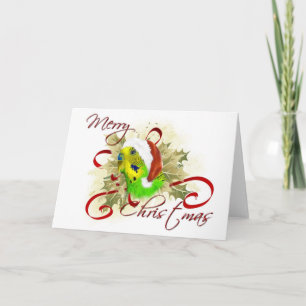 Parakeet Christmas Cards