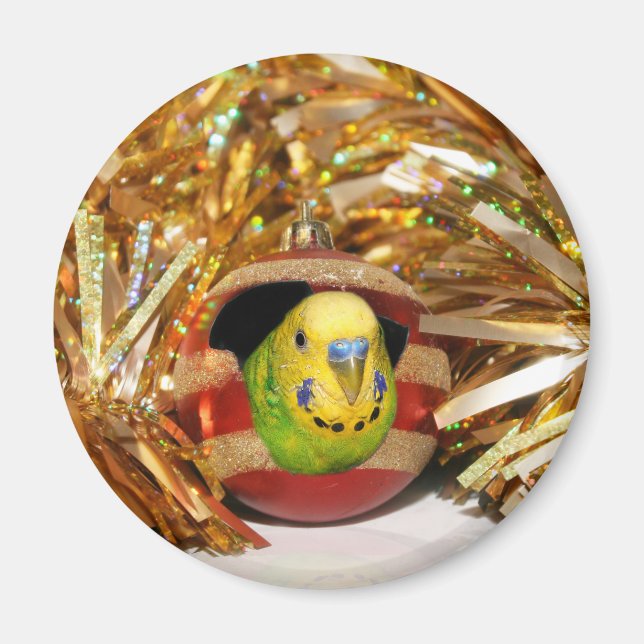 Parakeet Christmas Magnet (Front)