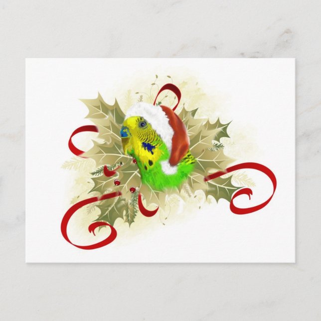 Parakeet Christmas Postcards (Front)