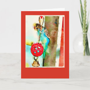 Parakeet Greeting Card