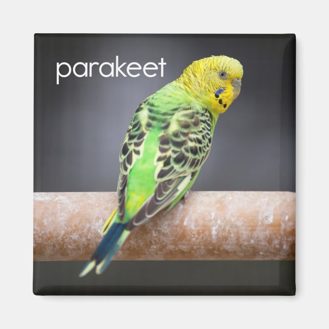 Parakeet Refrigerator Magnet (Front)