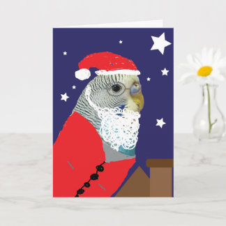 Parakeet Santa Clause Christmas Card