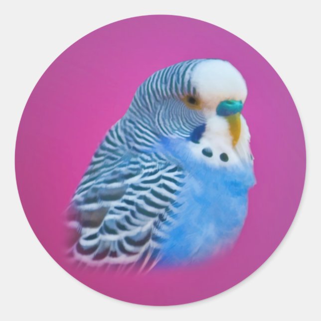 Parakeet Sticker (Front)