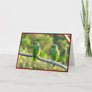 Parakeets Folded Greeting Card